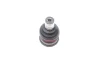 Опора кульова (передня/знизу) Nissan Micra/Sunny 10- FEBI BILSTEIN 174293 (фото 4)