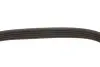Ремінь генератора VW Golf V/Passat/Touran 1.4TSI 05-/Skoda Fabia 1.4 TSI RS 10-14 (5PK491) FEBI BILSTEIN 176318 (фото 3)