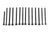 Болти головки (к-кт 14шт.) BMW X3 E83/X5 E70/130i/E81/330i E92 N52 3.0 04- N51-N53 FEBI BILSTEIN 178284 (фото 1)