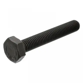 Болт колінвалу VW Golf/ Jetta/ Passat/ Polo (M10) FEBI BILSTEIN 18160