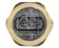 Датчик тиску масла BMW/PEUGEOT/CITOREN \'\'10>> FEBI BILSTEIN 182656 (фото 2)