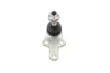 Опора кульова (передня/знизу) Ford Focus II 1.4-2.0TDCi 03-13 FEBI BILSTEIN 24849 (фото 2)