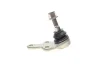 Опора кульова (передня/знизу) Ford Focus II 1.4-2.0TDCi 03-13 FEBI BILSTEIN 24849 (фото 4)