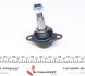 Опора кульова (передня) BMW X3 (E83) 2.0i-3.0i 03-11 FEBI BILSTEIN 32412 (фото 4)