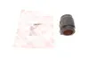 Втулка стабілізатора LAND ROVER Range Rover Sport "R "05-13 FEBI BILSTEIN 40081 (фото 1)