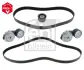 Поликлиновой ременный комплект FEBI BILSTEIN 40184 (фото 1)
