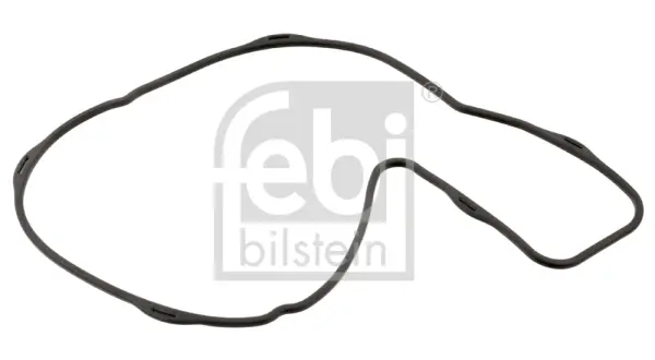 Прокладка насоса охолоджуючої рідини VOLVO 7500, 7700, 8300, 8500, 8900, 9300, 9400, 9500, 9700, 9900, B11, B9, FH, FH II, FH16, FH16 II, FH16 III, FM, FM II, FM9, FMX D11A-330-G9A300 08.93- FEBI BILSTEIN 44159 (фото 1)