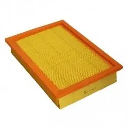 Air filter. Фильтр воздушный FENDT H117811130100