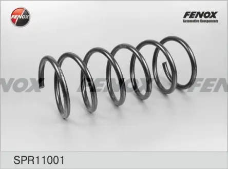 Пружина ходовой части FENOX SPR11001