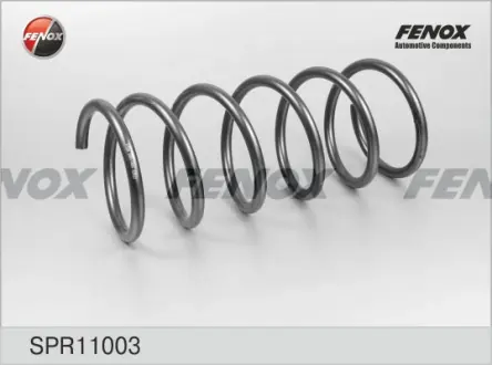 Пружина ходовой части FENOX SPR11003