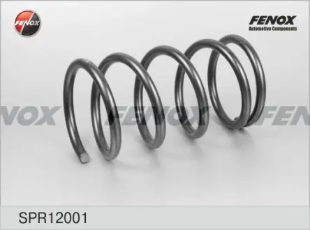 Пружина ходовой части FENOX SPR12001