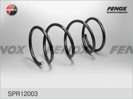Пружина ходовой части FENOX SPR12003