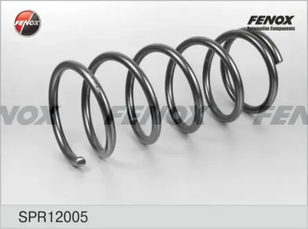 Пружина ходовой части FENOX SPR12005