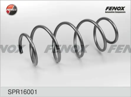Пружина ходовой части FENOX SPR16001