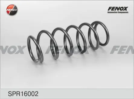 Пружина ходовой части FENOX SPR16002