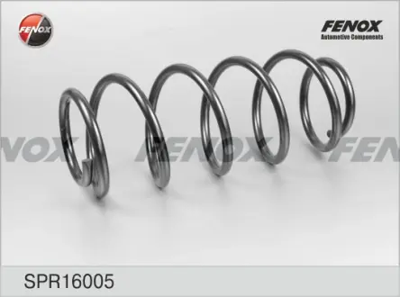Пружина ходовой части FENOX SPR16005
