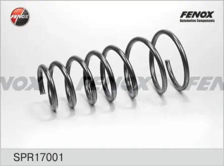 Пружина ходовой части FENOX SPR17001