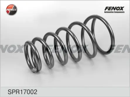 Пружина ходовой части FENOX SPR17002