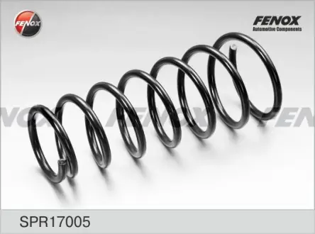 Пружина ходовой части FENOX SPR17005