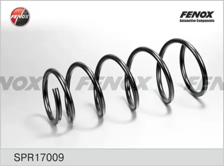 Пружина ходовой части FENOX SPR17009