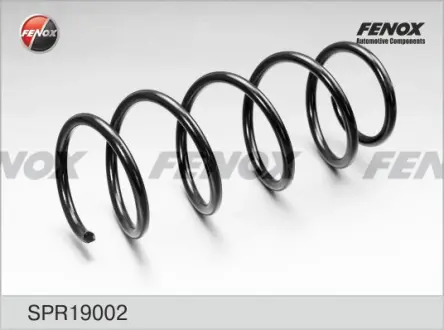 Пружина ходовой части FENOX SPR19002