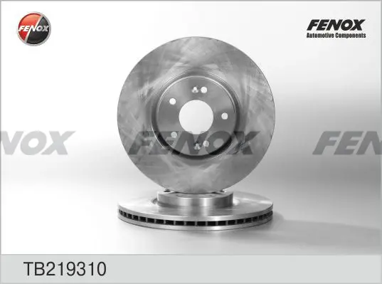 Тормозной диск FENOX TB219310 (фото 1)