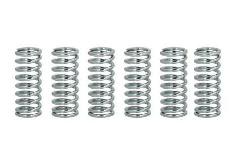 Пружини зчеплення FERODO FSS0114