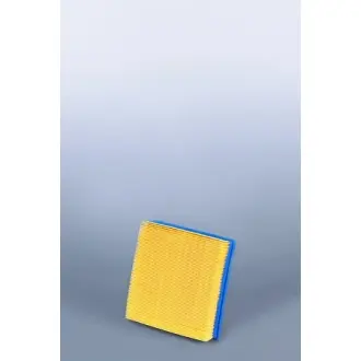 Фільтр повітряний FLEETGUARD AF25305