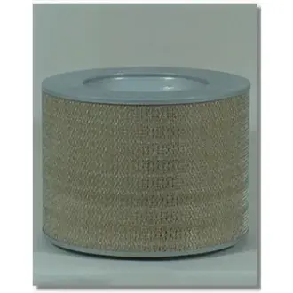 Фільтр повітряний FLEETGUARD AF25427