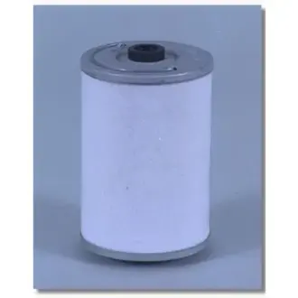 Fuel filter, cartridge. Фильтр топливный, вставка FLEETGUARD FF5055