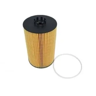 Oil filter, cartridge. Фильтр масляный, вставка FLEETGUARD LF16244
