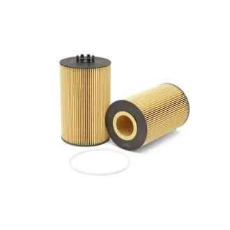 Oil filter, cartridge. Фильтр масляный, вставка FLEETGUARD LF16351