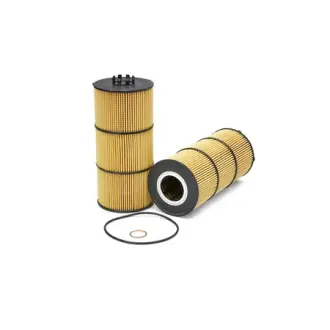Oil filter, cartridge. Фильтр масляный, вставка FLEETGUARD LF17511