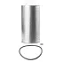 Oil filter, cartridge. Фильтр масляный, вставка FLEETGUARD LF750A (фото 1)