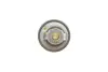 Термостат Ford Fusion/Fiesta/Focus 1.2-1.6 95- FORD 96MM8575A1A (фото 4)