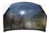 Капот Renault/Sandero 08-13 FPS FP 5618280 (фото 1)