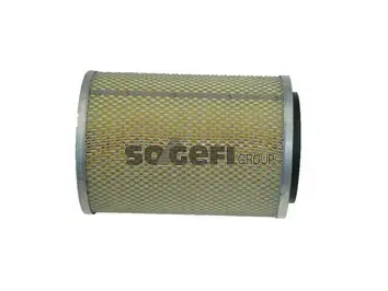 FRAM CA4219