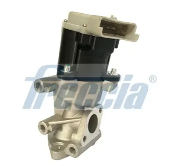 Автозапчасть FRECCIA EGR12169