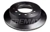 Диск тормозной задний Fremax BD-2919 FREMAX BD2919 (фото 2)