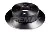 Диск тормозной задний Fremax BD-2933 FREMAX BD2933 (фото 2)