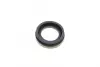 Ремкомплект супорту заднього Audi A4/A6/VW Golf 3/Polo 3/Sharan/Vento (d=38mm)(Lucas/TRW)(+поршень/напрямні) Frenkit FRENKIT 738903 (фото 3)