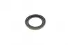 Ремкомплект супорта (заднього) Citroen Jumper/Peugeot Boxer 06- (d=52mm)(Brembo)(+1 поршен/направляє) FRENKIT 752395 (фото 12)