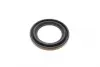 Ремкомплект супорта (переднього) Mazda 323/626 91-02 (d=57mm)(Shin)(+1поршень/направляюча) SuperKit FRENKIT 757493 (фото 8)