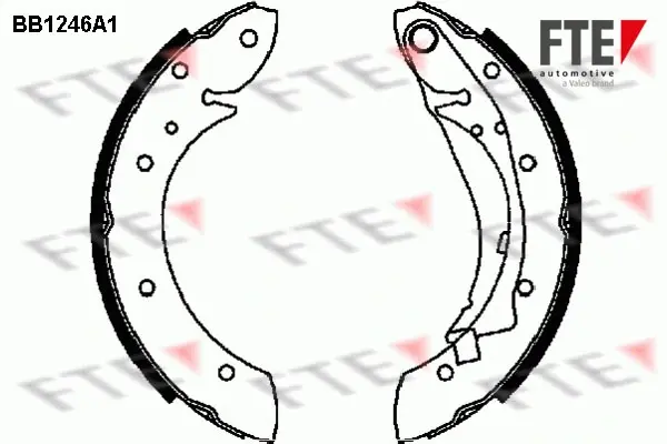 Комплект тормозных колодок FTE BB1246A1 (фото 1)