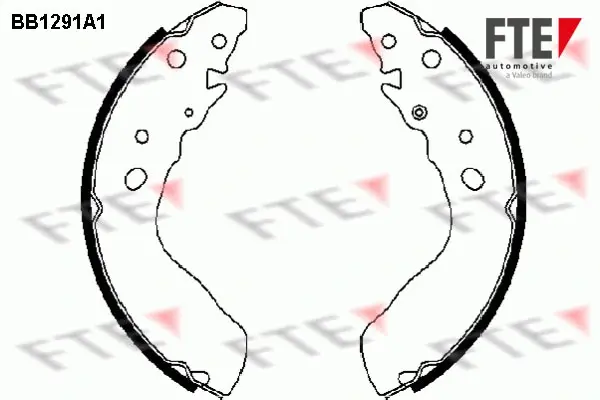 Комплект тормозных колодок FTE BB1291A1 (фото 1)