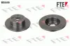 Тормозной диск FTE BS5500 (фото 1)