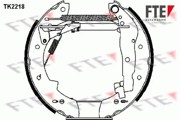 Комплект тормозных колодок FTE TK2218 (фото 1)