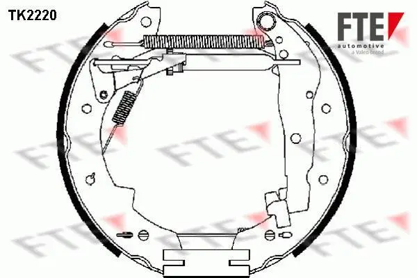 Комплект тормозных колодок FTE TK2220 (фото 1)