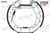 Комплект тормозных колодок FTE TK2234 (фото 1)