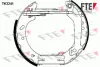 Комплект тормозных колодок FTE TK2241 (фото 1)